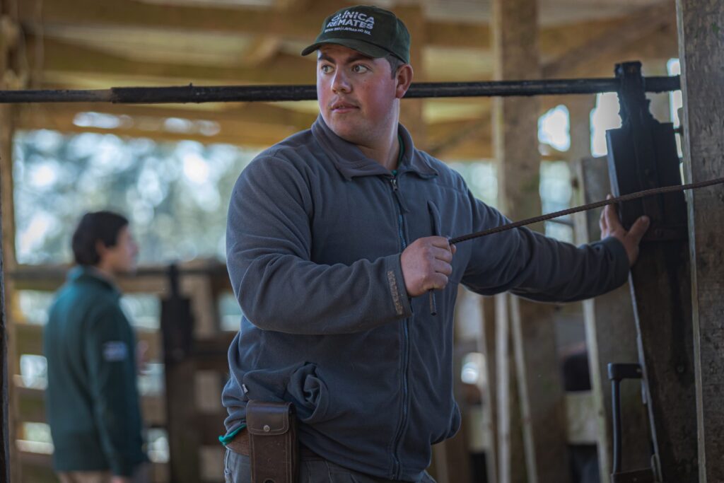 Fotografia Gustavo Rafael IMG-6863 (Grande)