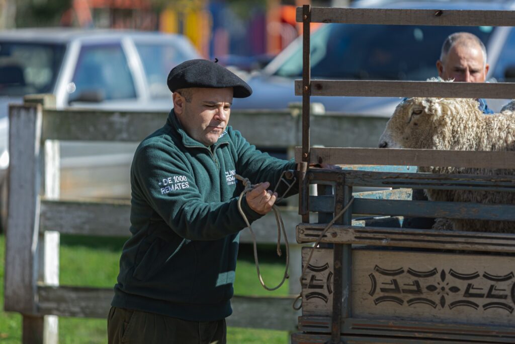 Fotografia Gustavo Rafael IMG-6923 (Grande)