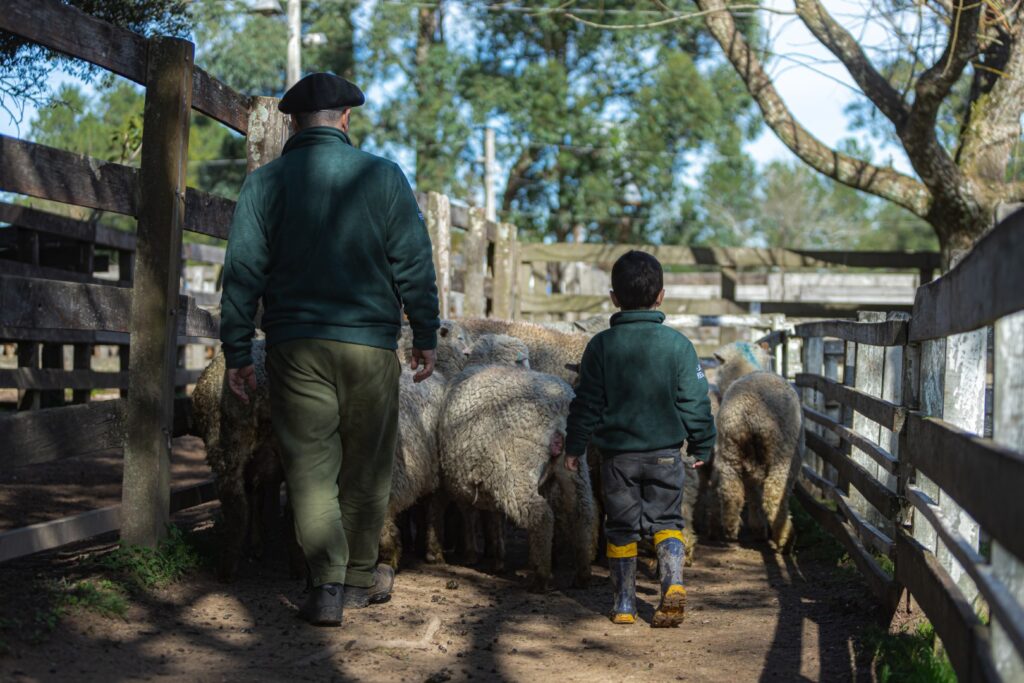 Fotografia Gustavo Rafael IMG-6944 (Grande)