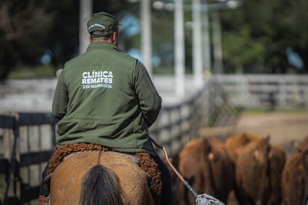 Fotografia Gustavo Rafael IMG-7006 (Grande)